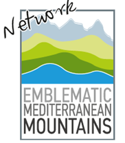 logo EMbleMatiC
