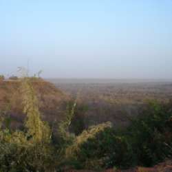 Parc Régional du W du Niger