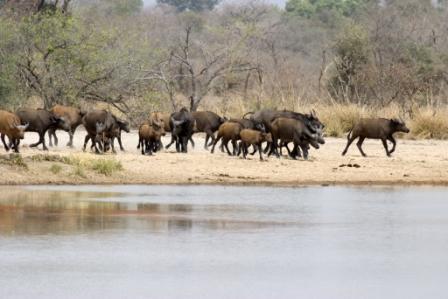 reserve nigeria 4