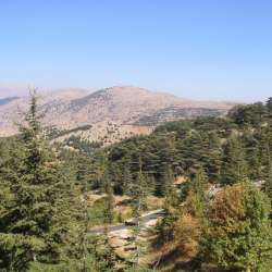 Réserve de biosphère d'Al Shouf