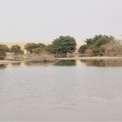 Réserves naturelles de l'Aïr et du Ténéré 